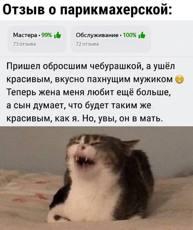 Всего понемногу. Пятничный выпуск