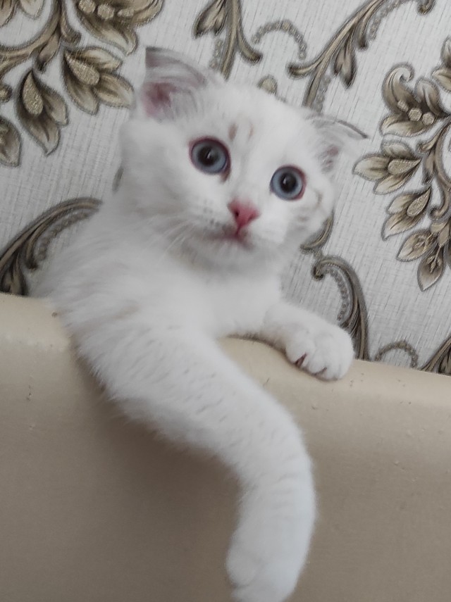Вот