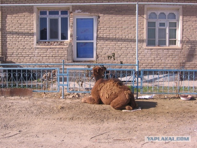 Всё о Туркменистане