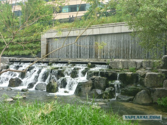 Тем временем в Южной Корее
