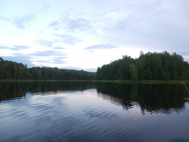 Красивые фото ЯПа