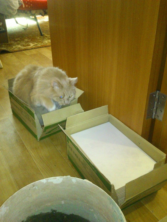 Ремонт в санузле