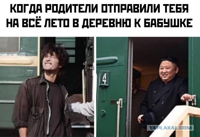 Съездил к бабушке на лето