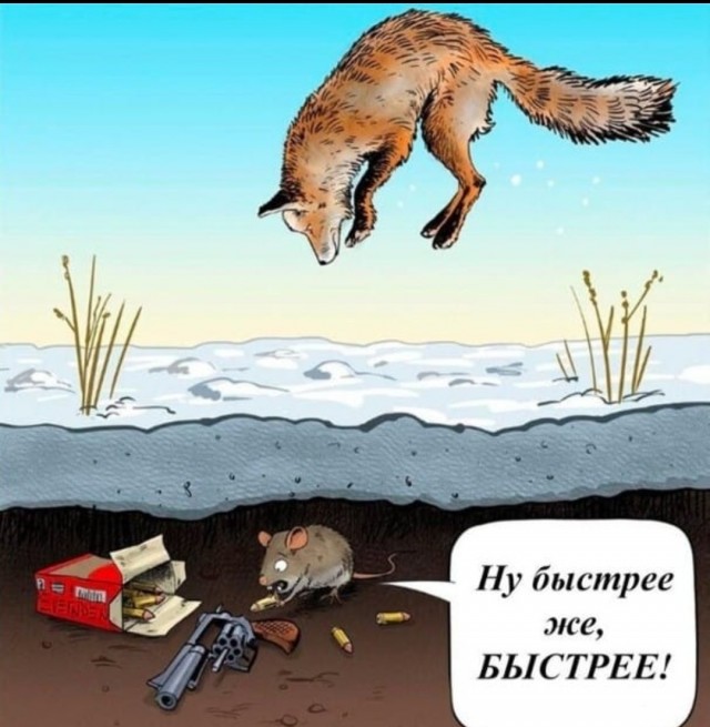 Правильное хранение оружия