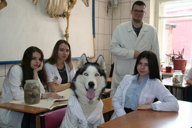 Небольшая коллекция фотокарточек, на которых творится какая-то дичь