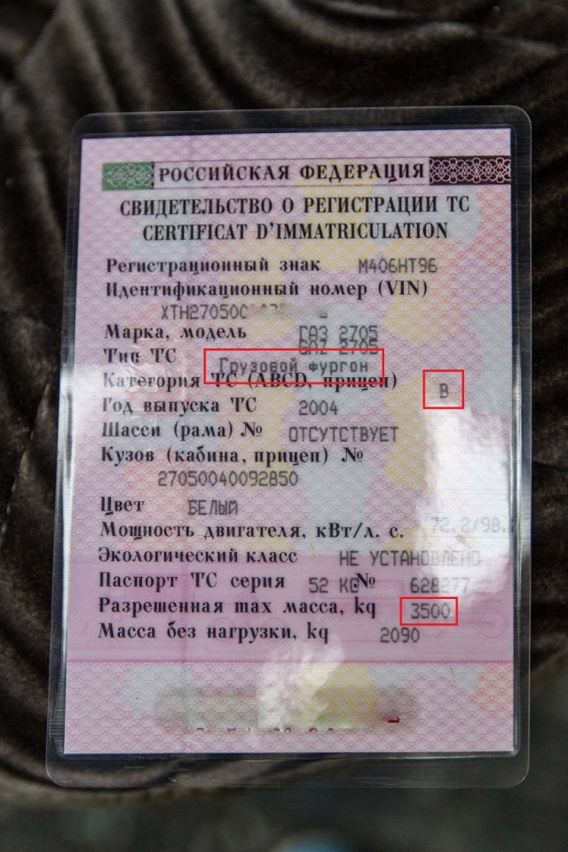 Торопыга