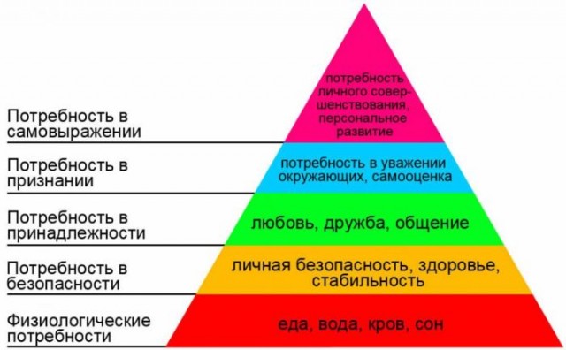 Пирамида Маслова, 5 фактов