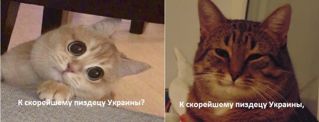 ISW: Разрешения Киеву на удары по целям в РФ недостаточно