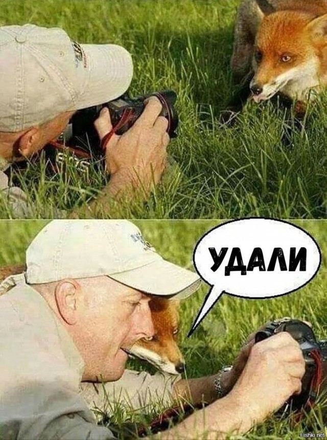 Я и фотогеничность
