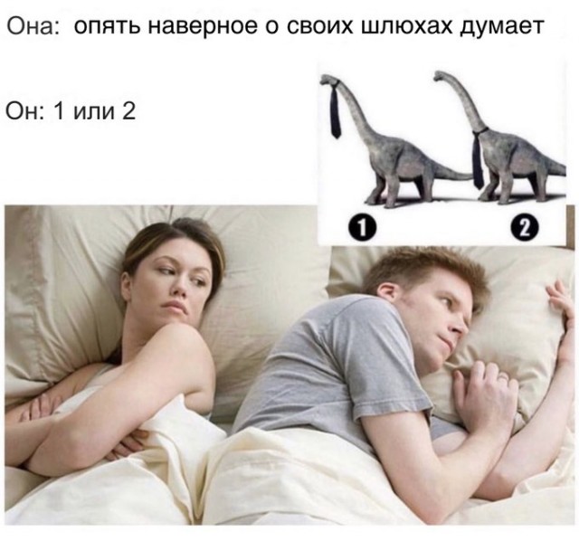 Так себе картинки 14.11.24