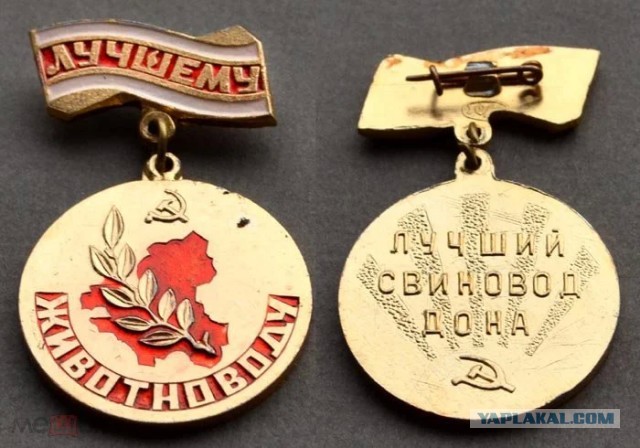 Адам Кадыров получил сразу две награды: орден и медаль