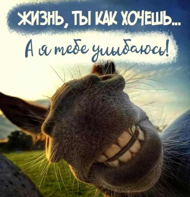 Прикольные и просто красивые картинки 10.12.2024