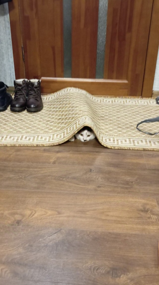 Новый дом для Тимохи в Новом году