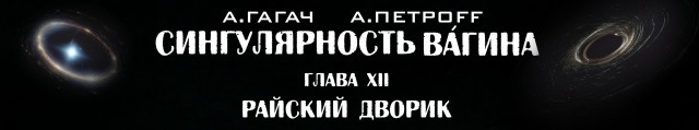 Сингулярность Вагина