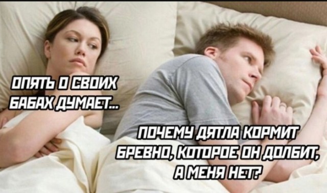 Так себе картинки 20.08.25
