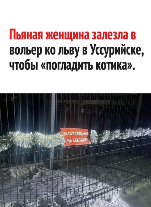 Так себе картинки 22.08.25