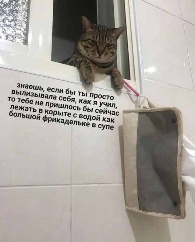 Так себе картинки 13.09.25