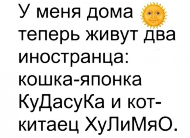 Картинки для деградации 50 (разной степени свежести)