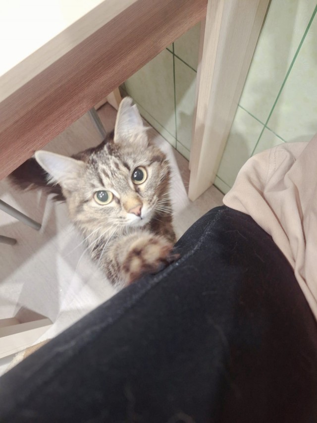 Тоже стал рабом