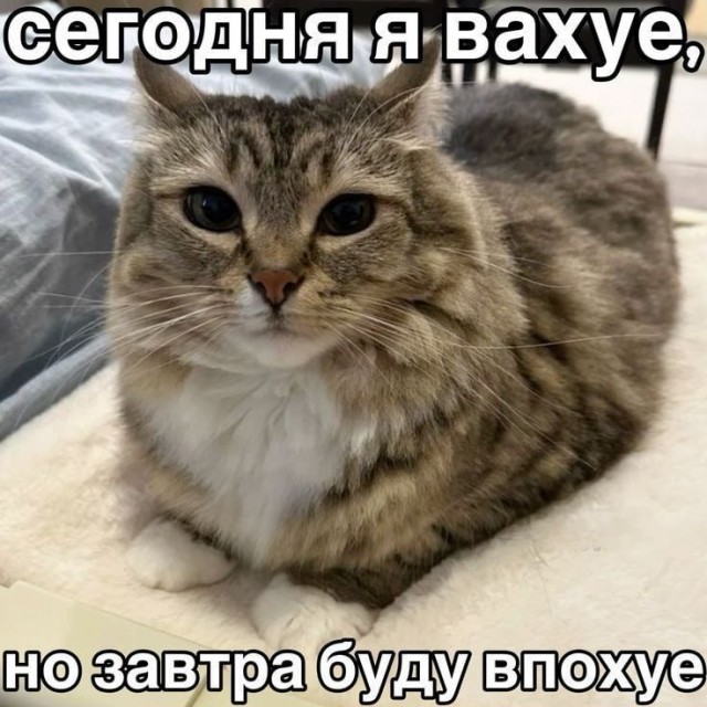 Картинки для деградации 75 (разной степени свежести)