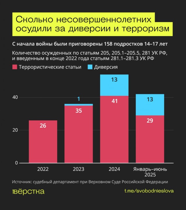 В РФ вступил в силу закон об уголовной ответственности за диверсии с 14 лет