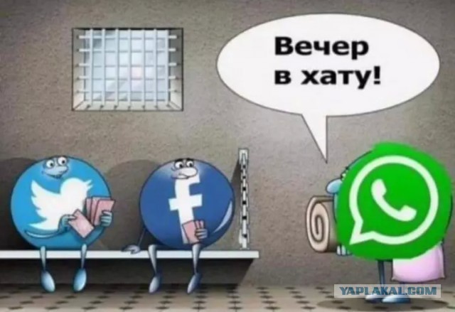 WhatsApp Web всё?