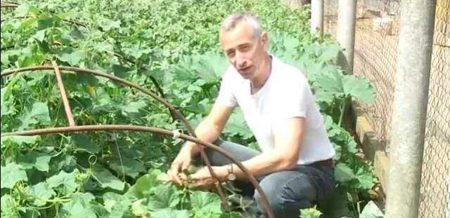 Житель Башкортостана вызвал скорую из-за мандарина, застрявшего в заднем проходе на Новый год