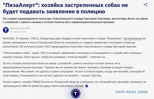 Неизвестный застрелил двух собак-спасателей поискового отряда "ЛизаАлерт" в Псковской области