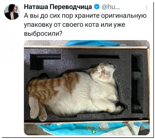 А вы храните упаковку от своего кота?