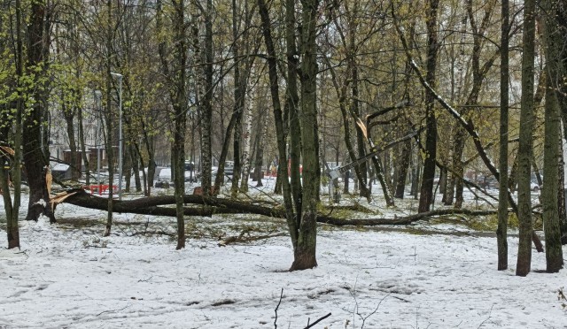 Утро в Москве