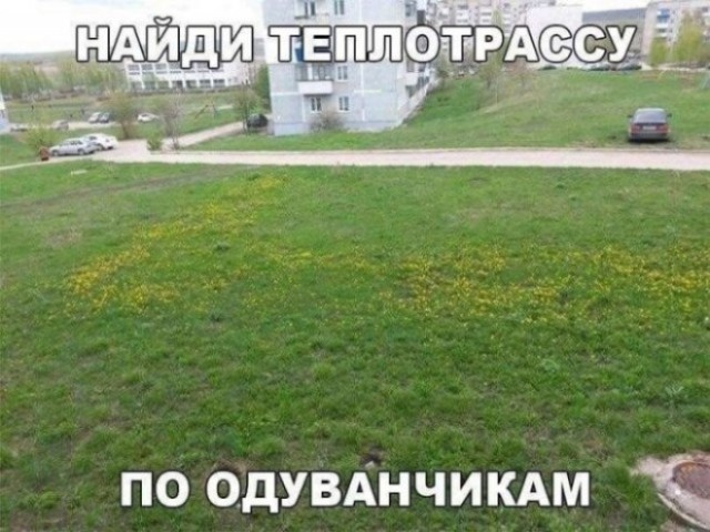 Картиночки, баянчики 14 мая