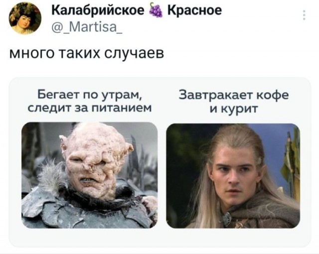 Картинки для деградации 203  (разной степени свежести)