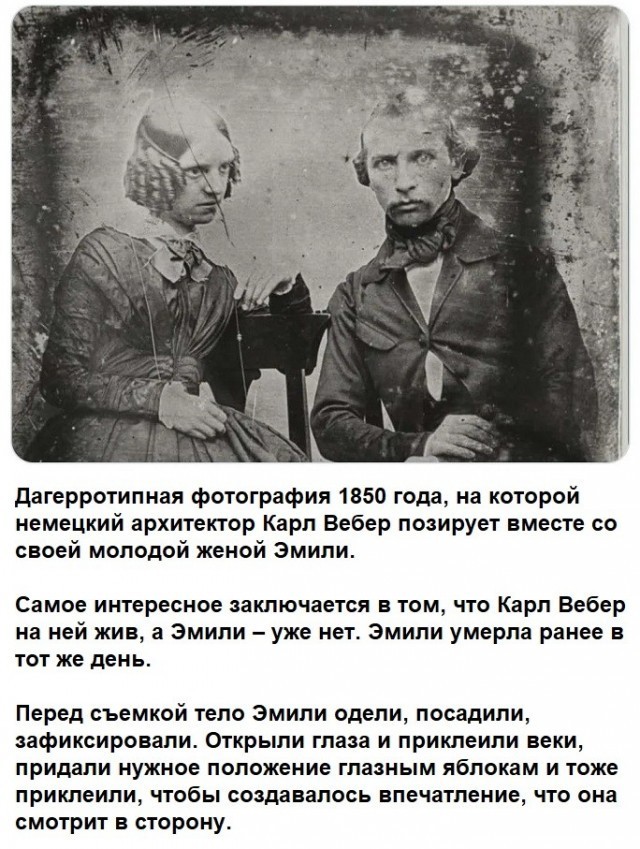Как живая