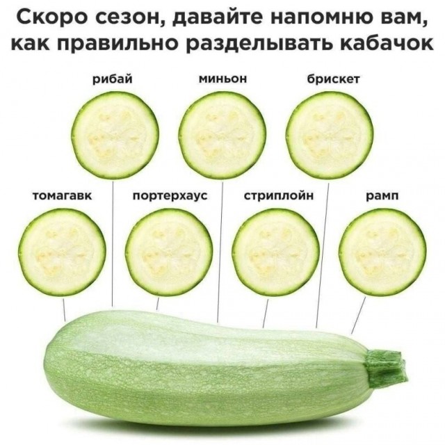 Тупеть надо с комфортом