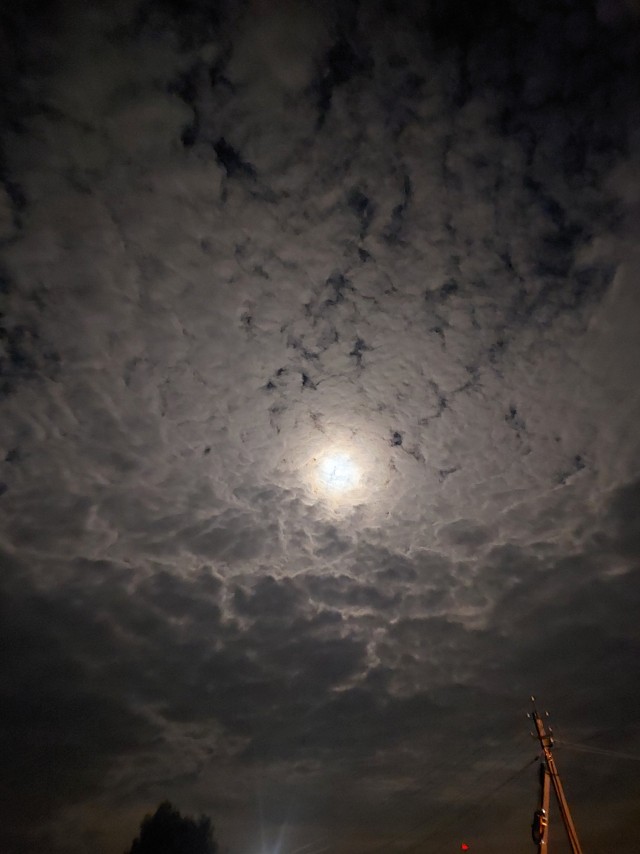 Одной фотки псто