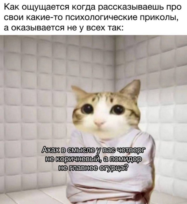 Психомемы-11