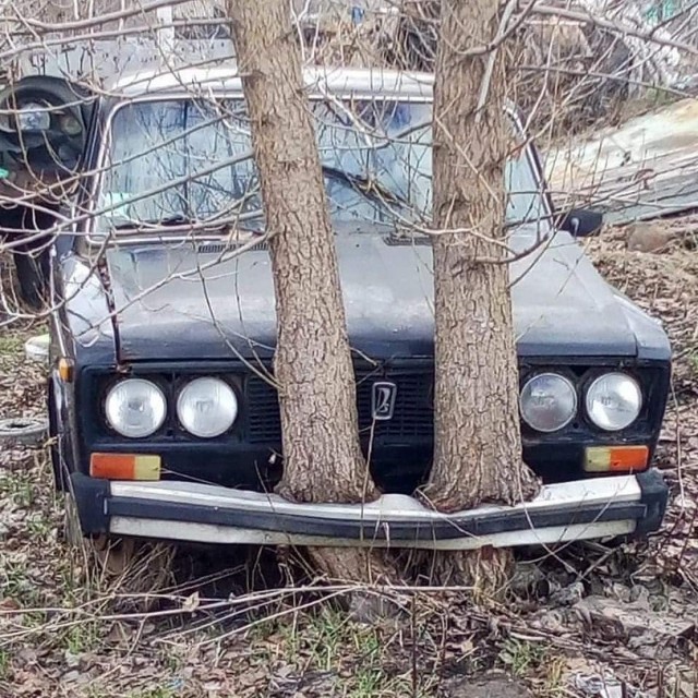 Припаркованы навсегда