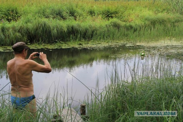 Фотоотчёт. Ивановская область.