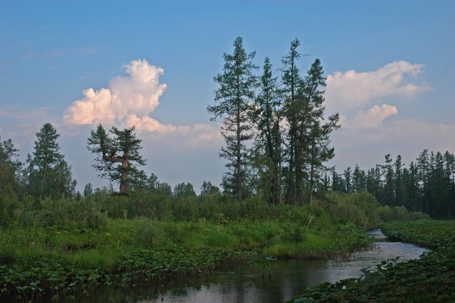 Деревенская Америка