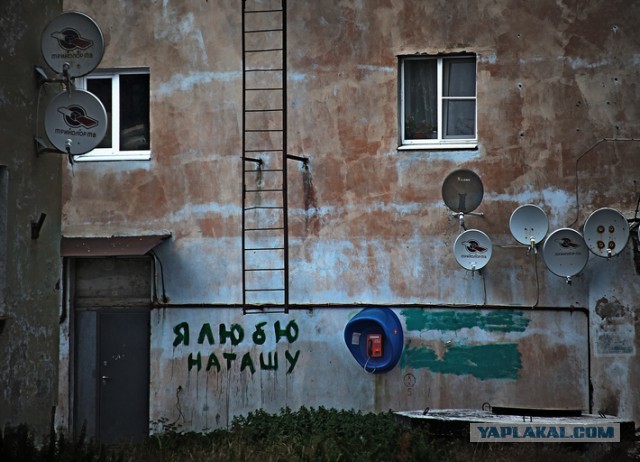 Териберка. Только правда.