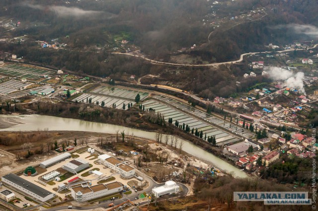 Как выращивают форель в Адлере