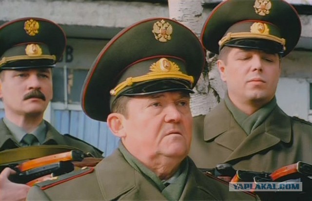 Тысячи птиц покинули Флоридский полуостров