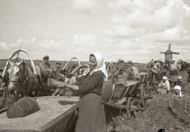 Наша история. Колхоз "Путь Ленина" 1946 год