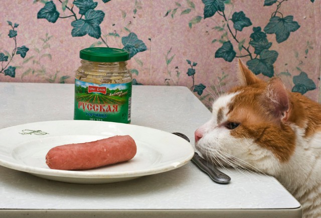 Забавные картинки из Сети