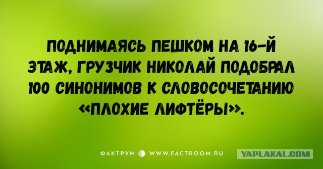 Высказывания из Интернета