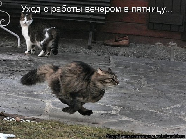 Всячина. Картинки
