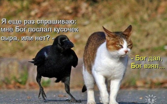 Всяко-разно из сети