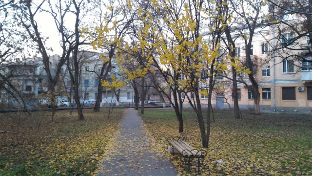 Осенняя тема. На подходе к зиме.