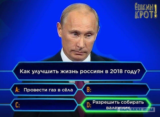 Дом для себя. 500мм утепления – может я псих?