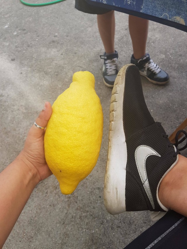 Подборка интересных и веселых картинок